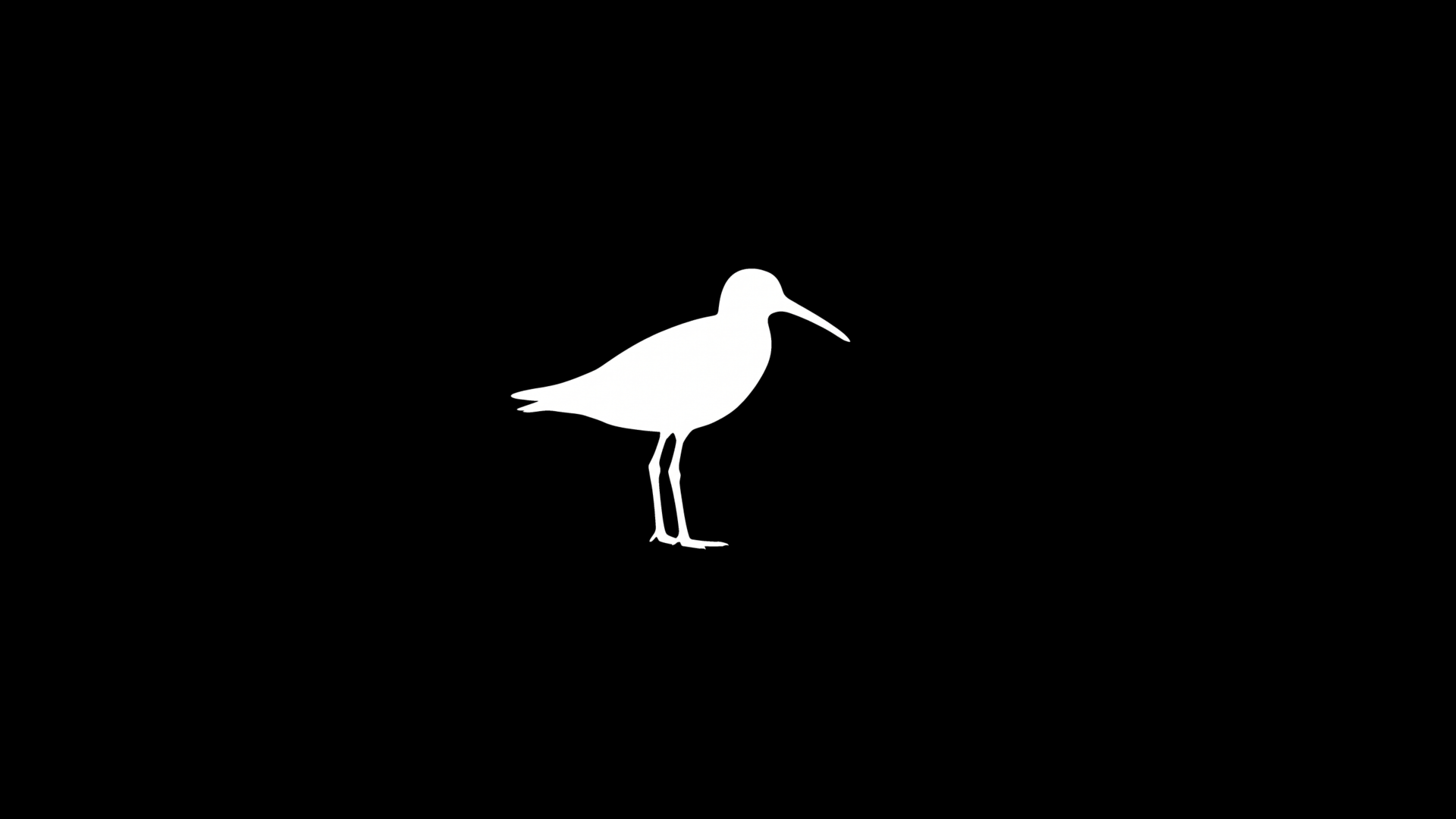 Sandpiper